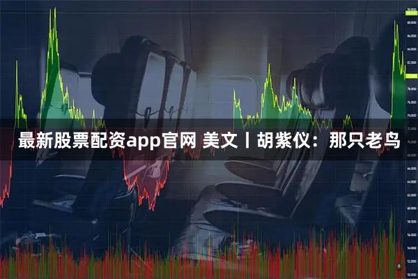 最新股票配资app官网 美文丨胡紫仪：那只老鸟