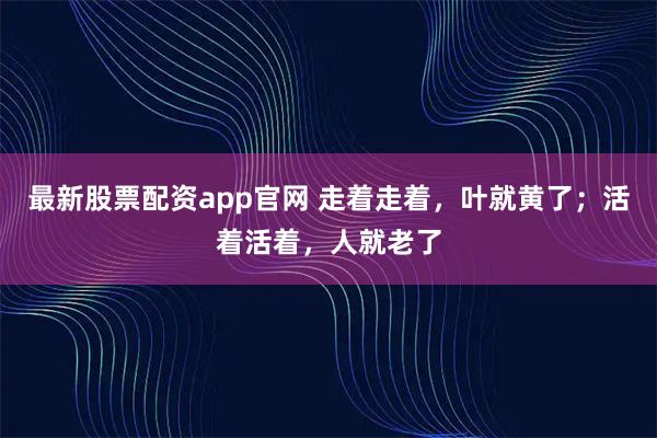 最新股票配资app官网 走着走着，叶就黄了；活着活着，人就老了